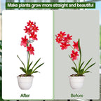Mwellewm 6 Sets Plant Stakes 12/25/36 Inch Adjustable Plant Support Stakes Tall for Indoor Outdoor Plant Holder Stick Steel Garden Stem Pole Amaryllis Stakes with 30 Clip for Tomato Orchid Lily Flower