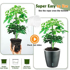 Self Watering Pots for Indoor Plants, 6-Pack 5'' Self Watering Planter with Drainage Holes, Small African Violet Pots with Water Indicator, Clear Wick Orchid Pot, Grey Gold