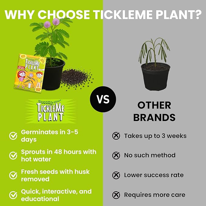 TickleMe Plant Seeds (2 Pack) – Grow the Touch-Sensitive Plant that Closes When Touched – Fun Easter Basket Stuffer – Easy Indoor Science Activity for Kids & Adults