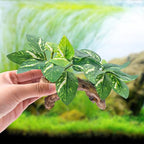 CousDUoBe 9 Pcs Fish Tank Decor，Silk Aquarium Plants Green Silk Leaf pad Hammock Artifical Driftwood cave Betta Fish Tank Accessories 6 x 3 x 4 inches(LxWxH)