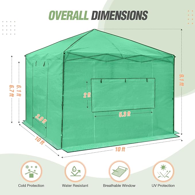 EAGLE PEAK 10x10 Portable Walk in Greenhouse, Pop Up Indoor Outdoor Greenhouse, Green House Kit with Zippered Roll-Up Doors and Windows, PE Cover, Clear/Green