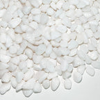 FANTIAN 2 Pounds White Pebbles for Indoor Plants, 3/8 Inch Polished White Rocks, Decorative River Rocks for Potted Plants Vase Cactus Bird Bath and Outdoor Garden Landscaping
