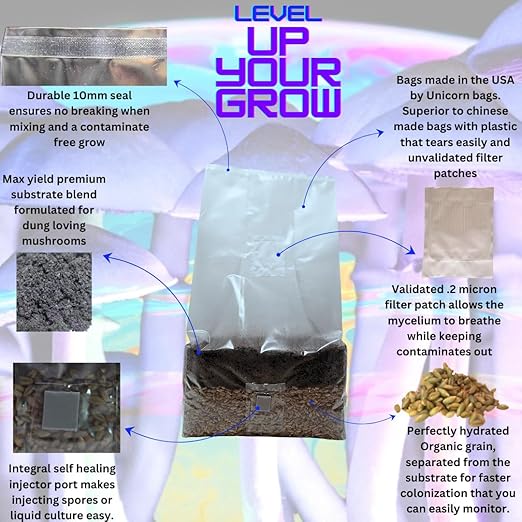 Jumbo 6 Pound Magic All in One Mushroom Grow Bag
