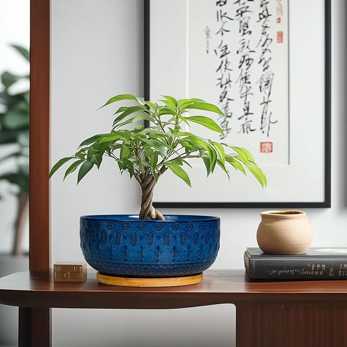 Bonsai Pots - 8 Inch Ceramic Succulent Pots with Drainage Hole and Saucer, Planters for Indoor Plants, Modern Round Decorative Flower Planter, Home Decor, Housewarming Gifts, Blue