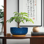 Bonsai Pots - 8 Inch Ceramic Succulent Pots with Drainage Hole and Saucer, Planters for Indoor Plants, Modern Round Decorative Flower Planter, Home Decor, Housewarming Gifts, Blue