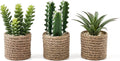 3-Pack Artificial Succulent Plants in Vintage Plastic Pots - Fake Waterproof Succulents Decor for Home, Office, Desk, Shelf - Low Maintenance Indoor Greenery for Bathroom, Living Room, Table Decor