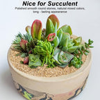 Succulent and Cactus Gravel Pebbles,Landscaping Pebbles,River Rocks,Garden Landscaping Stones,Gravel Filler for Home Decoration Flower Bed Fish Tank Plants Vases Succulents (Beige, 10 Pounds)