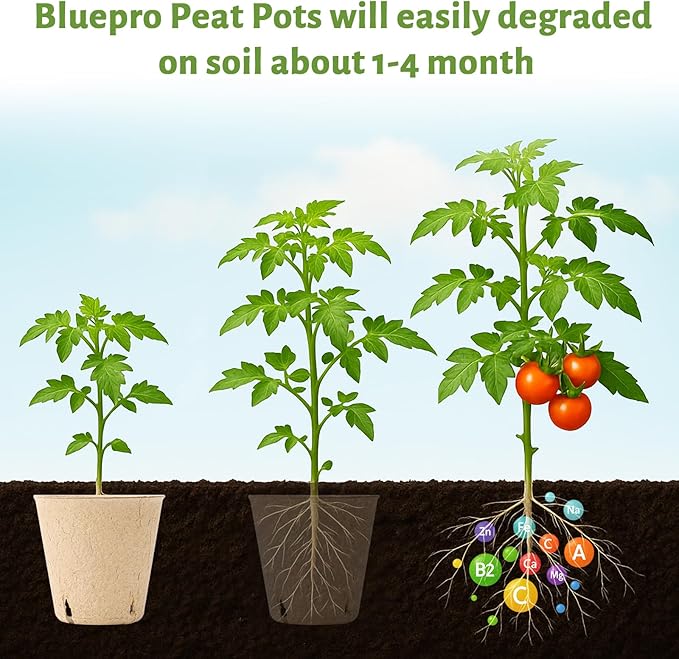 Bluepro 120 Packs 3.15 Inch Peat Pots, Biodegradable Pots for Seedlings with Drainage Holes, Herb Seed Starter