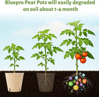 Bluepro 120 Packs 3.15 Inch Peat Pots, Biodegradable Pots for Seedlings with Drainage Holes, Herb Seed Starter