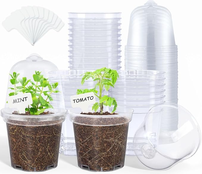 homenote Clear Nursery Pots for Plants,4 Inch Plant Pot for Planting with Humidity Domes Plastic Seedling with Drainage Holes Seed Starter Flower High Transparency (30 Pack)