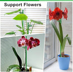 6Pcs Plant Support Stakes 17 inch SupKing Garden Orchid Sticks Extended to 3ft 4ft 5ft Plant Poles with Clips for Indoor Outdoor Potted Tomato Rose Amaryllis Vegetables Comes with 20 Ties（Green）