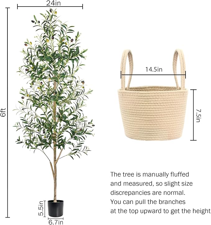Caxchiling Faux Olive Tree 6FT, Artificial Potted Tree with Planter, Silk Plants Indoor Outdoor, Lifelike Olive Plants with Natural Wood Trunk, Fruits and Buds, Home Office Decor, 2 Pack