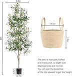 Caxchiling Faux Olive Tree 6FT, Artificial Potted Tree with Planter, Silk Plants Indoor Outdoor, Lifelike Olive Plants with Natural Wood Trunk, Fruits and Buds, Home Office Decor, 2 Pack