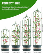 Garden Obelisk Trellis for Climbing Plants, 6FT Garden Obelisk Rustproof PE Coated Metal Potted Plant Climbing Support, Thickened Tube Plant Tower Trellis for Clematis Vine Support Indoor (2 Pack)