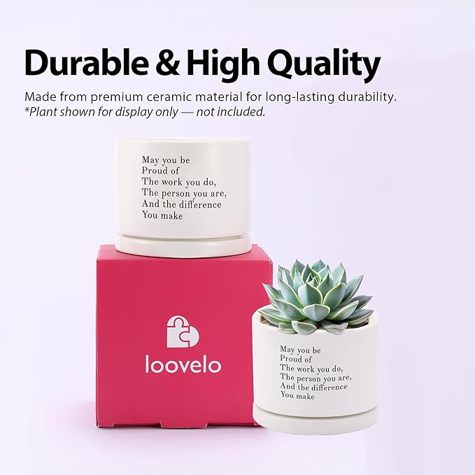 May You Be Proud of The Work You Do Inspirational Gift Ceramic Succulent Plant Pot with Tray Coworker Leaving Motivational Gifts Home Decor Plant Lover 3.5 Inch White (No Plants) (with Ceramic Tray)