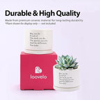 May You Be Proud of The Work You Do Inspirational Gift Ceramic Succulent Plant Pot with Tray Coworker Leaving Motivational Gifts Home Decor Plant Lover 3.5 Inch White (No Plants) (with Ceramic Tray)