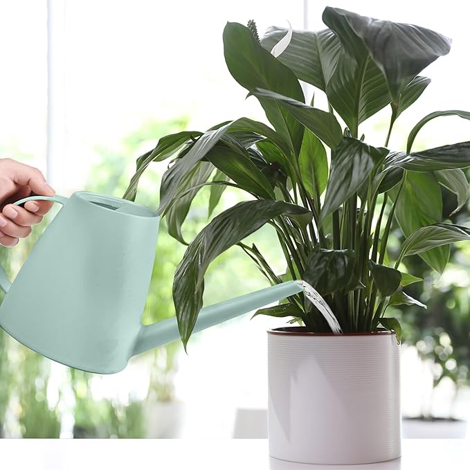 Plastic Watering Can - for Home Plant Garden - 1/2 Gallon - Light Green