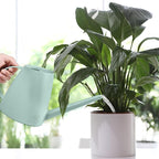 Plastic Watering Can - for Home Plant Garden - 1/2 Gallon - Light Green