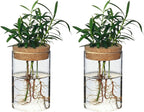 Separated Desktop Glass Flower Vases - Ideal Plants Propagation Stations for Living Room, Bedroom Decoration,Home Decor (2)