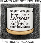 Succulent Cactus Cute Planter Pots with Bamboo Tray, Office Kitchen Home Windowsill Indoor Decor, Gift for Friends Mom Women Coworkers Teachers Plant Lovers