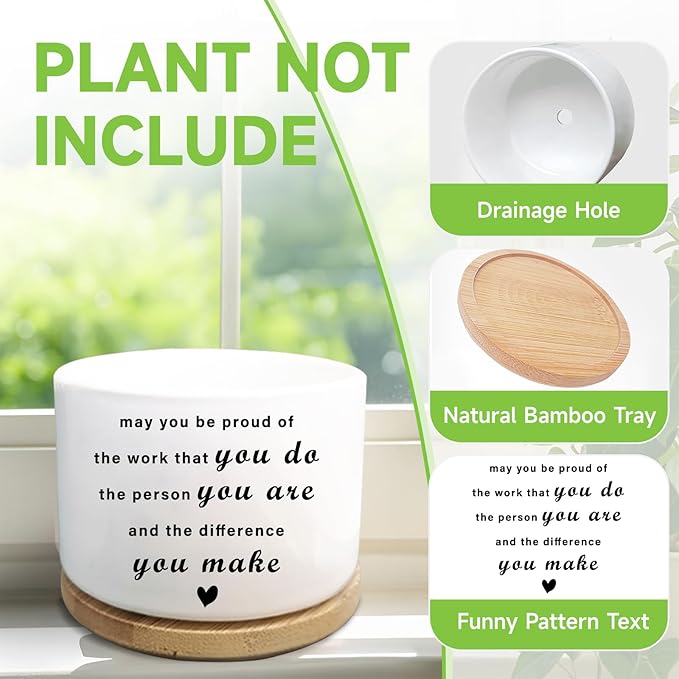 Coworker Gifts, May You Be Proud of The Work You Do, Succulent Plant Pot, Flower Cactus Planter, Employee Appreciation Farewell Gift for Coworker Colleague Work Bestie (Plants Not Included)