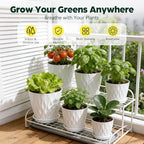 Plant Pots, Self Watering Planters with Drainage Holes and Trays, Flower Pots for Indoor Outdoor - 6 Pack(4/5/6/6.5/7/8 Inch) (White)