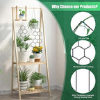 WellSign Small Trellis for Potted Plants, 15.94 inch Metal Plant Trellis for Climbing Plants Indoor Pot Honeycomb Shape Lattice for Ivy Vines Hoya Houseplants Flower 2 Pack