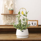 2PCS Small Gold Trellis for Climbing Plants Indoor, Mini Metal Houseplant Climber Support for Potted Plants, Boho Decorative Pot Lattice with Agate for Hoya, Pothos, Ivy, Philodendron