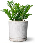 8 Inch Plant Pot, Ceramic Planter for Indoor Plants Outdoor, Round Planter with Drainage Hole and Tray, Boho Flower Pot, Decorative Pots for Plants, Home Decor, Plant Lover Gifts, White