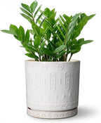 8 Inch Plant Pot, Ceramic Planter for Indoor Plants Outdoor, Round Planter with Drainage Hole and Tray, Boho Flower Pot, Decorative Pots for Plants, Home Decor, Plant Lover Gifts, White