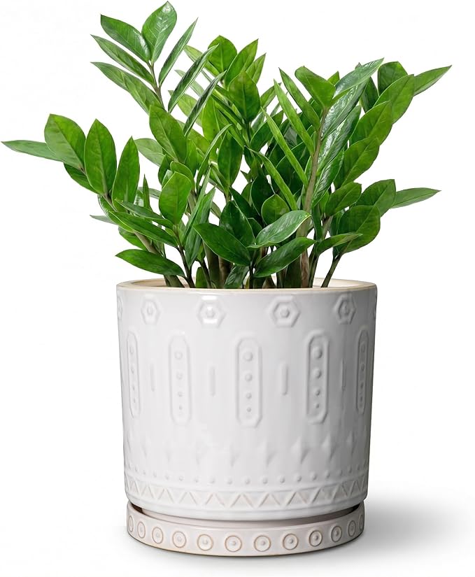 8 Inch Plant Pot, Ceramic Planter for Indoor Plants Outdoor, Round Planter with Drainage Hole and Tray, Boho Flower Pot, Decorative Pots for Plants, Home Decor, Plant Lover Gifts, White