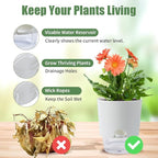 Oliz 6 Inch Self Watering Planter Pots for Indoor Plants, 3 Packs African Violet Pots with Wick Rope and Visible Reservoir Self Watering Planter for Herb, Houseplants