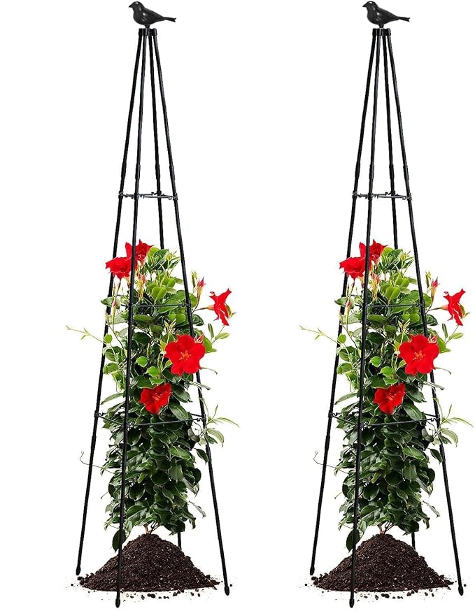 FOLLOOK Cucumber Trellis, 67" Tall Obelisk Garden Trellis for Climbing Plants Outdoor Plastic-Coated Metal Support for Flower Vine Vegetable Tomato Cage Cucumebr Trellis Raised Bed, Black, 2 Pack