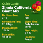 HOME GROWN Zinnia Seeds for 2026 - California Giant Mix - 14,600+ (4 oz) Plant Wildflower Blooms Bulk Seeds for Planting Flowers Outside - Pollinator Gardens (Zinnia elegans)