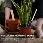 HOMSFOU 14pcs Succulent Planting Tool Set with Spraying Bottle, Soil Scoop, Shovel, and Pruning Scissors for Indoor and Outdoor Gardening, Transplanting and Plant Care Accessories