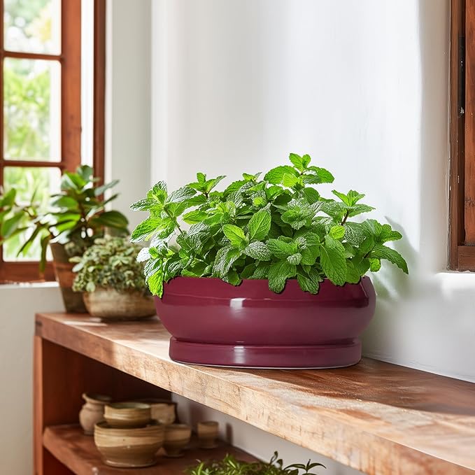 Bonsai Pots 10 Inch - Ceramic Succulent Planters for Indoor Plants Outdoor, Round Succulent Pots with Drainage Hole and Tray, Shallow Planter, Room Decor, Gifts for Plant Lovers, Wine Red