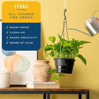 Costa Farms Golden Pothos Live Plant in Hanging Grower Pot, Easy-Care, Air Purifying Indoor Houseplant, Home, Room, or Office Decor, Great House Warming or Birthday Gift, 8-10 Inches Tall