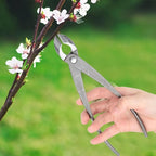 Bonsai Tools, Bonsai Concave Branch Cutter, 8.4inch Multifunctional Pruning Shear Carbon Steel Gardening Shears Scissors Tools Garden Tool for Removing Small Branches