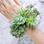 Supla 11 Pcs Mini Artificial Succulents Picks Unpotted Faux Succulent Assortment in Flocked Green in Different Type Different Size Succulents Echeveria Agave Floral Arrangement Mother Day' s Gift
