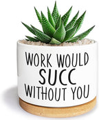 Kwtzkuo® Work Would SUCC Without You - Funny Succulent Pots, 3.5 inch Ceramic Plant Pots, Cute Cactus Planter Pot, Desk Shelf Decor for Home Office