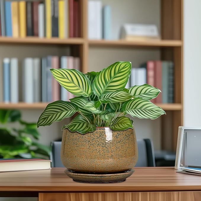 G EPGardening 7 Inch Ceramic Pots for Plants - Ceramic Planters for Indoor Outdoor Plants, Round Plant Pots with Drainage and Saucer, Modern Planter, House Decor, Plant Lover Gifts, Speckled Brown