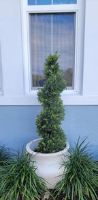 ALL SEASON GREEN 5' Cypress Artificial Outdoor Plants Boxwood Topiary Spiral Front Porch Decor Tree Potted Set of 2