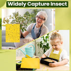 Qualirey 250 Pcs 6x8 Inch Yellow Sticky Traps for Gnats, Dual-Sided Sticky Gnat Traps for Indoor Outdoor Plants, Pest Control for Fungus Gnats, Fruit Flies, Whiteflies – Bulk Pack with Twist Ties