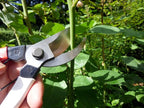Okatsune Pruning Shears Unique 8.3 inches (210 mm) (Blister) No. 104