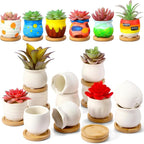 Remerry 24 Pcs 2.5 Inch Mini Succulent Pots with Bamboo Tray White Ceramic Pots Color Your Own DIY Small Planters Containers for Flower Cactus with Drainage Hole for Plant Lover