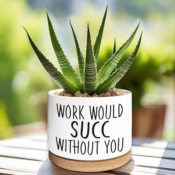 Kwtzkuo® Work Would SUCC Without You - Funny Succulent Pots, 3.5 inch Ceramic Plant Pots, Cute Cactus Planter Pot, Desk Shelf Decor for Home Office