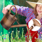 1 Gallon Metal Watering Can with Removable Spout, Nice Galvanized Steel Water Can with Embossed Design for Indoor and Outdoor Plants
