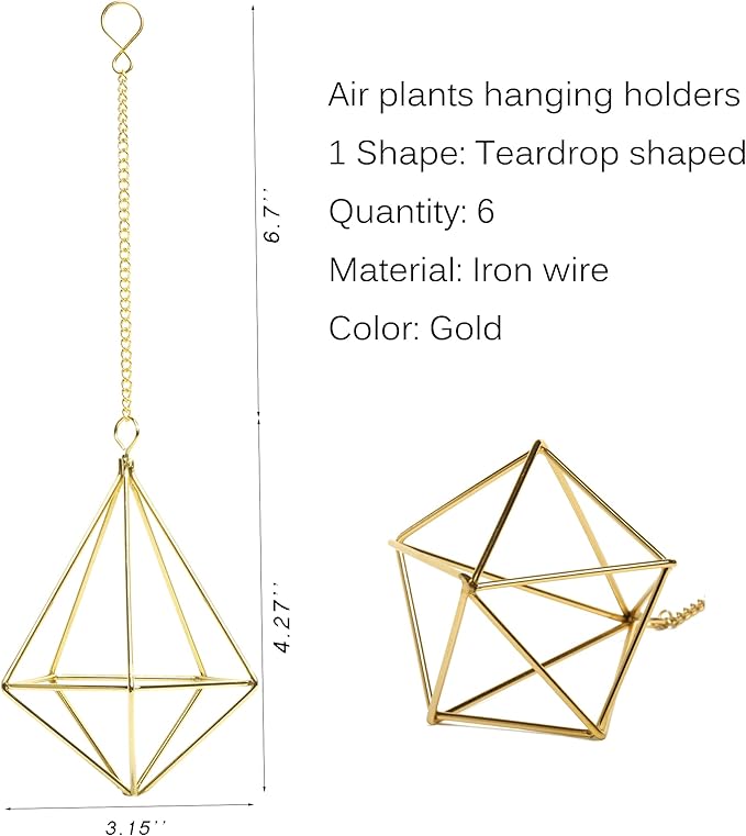 ZOOELAY Air Plants Live Holders 6 Pcs Glod Diamond Hanging Planter Small Air Plant Holders Unique with Chains Air Ferns Tillandsia Display for Indoor