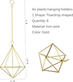 ZOOELAY Air Plants Live Holders 6 Pcs Glod Diamond Hanging Planter Small Air Plant Holders Unique with Chains Air Ferns Tillandsia Display for Indoor