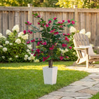 Aveyas 3ft Artificial Bougainvillea Tree with Flowers, 3 Feet Faux Floor Plant Fake Silk Blooming Trees with Pot for Indoor Outdoor Home Decor,House Living Room Office (3 ft Tall Including Raised Pot)
